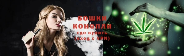 apvp Пестово