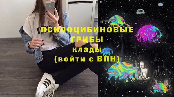 apvp Пестово