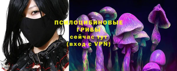 спиды Балахна