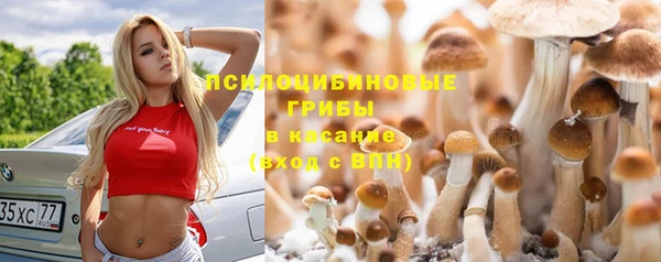 a pvp Балабаново