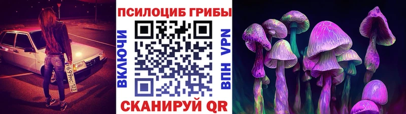 мориарти как зайти  Северо-Курильск  Галлюциногенные грибы прущие грибы 